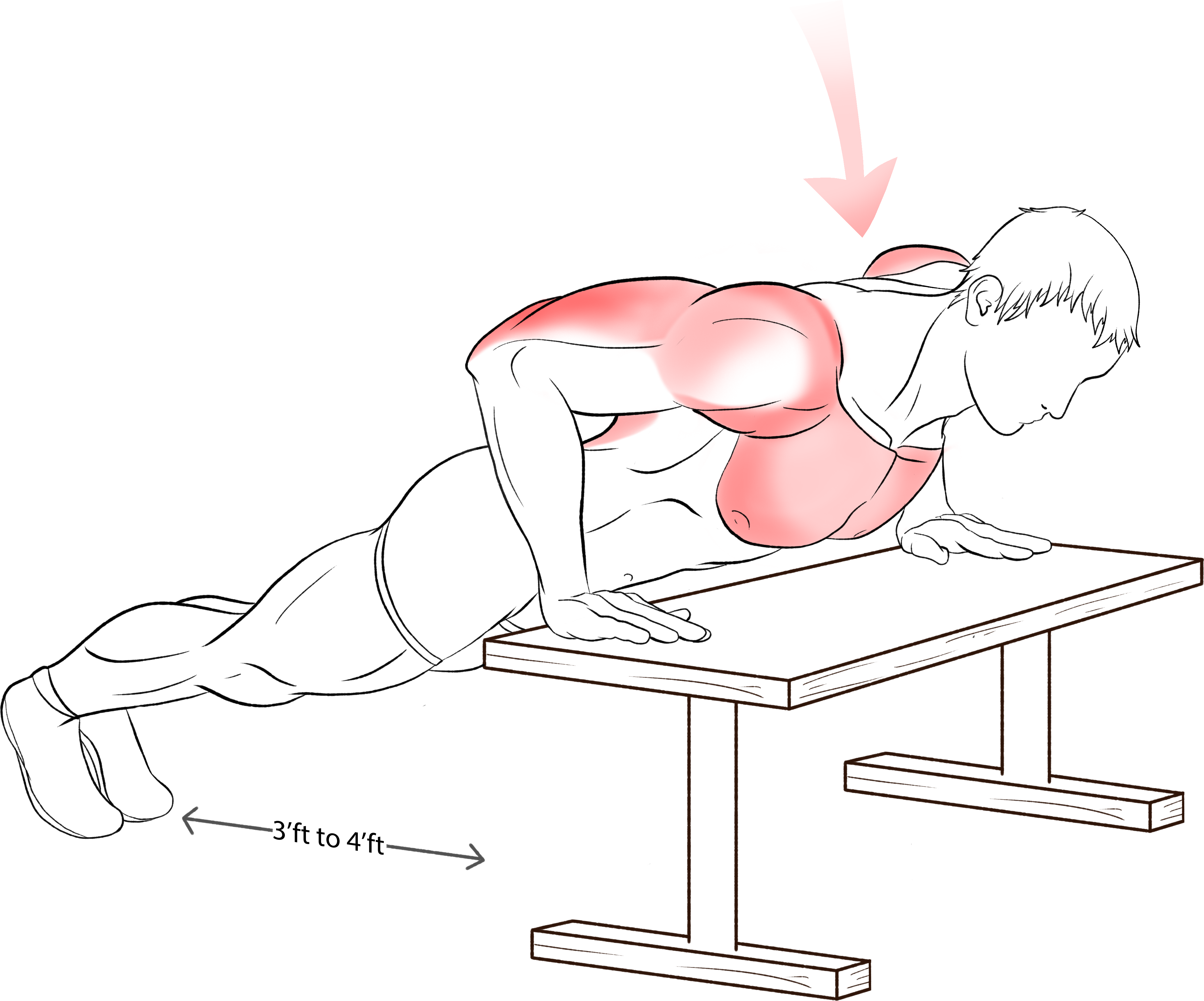 ISOMETONICS™ Isometric and Isotonic Exercises | No Gym, Low Impact, Seniors Improve Balance, Healthy Eating, Intermittent Fasting, Sports Performance